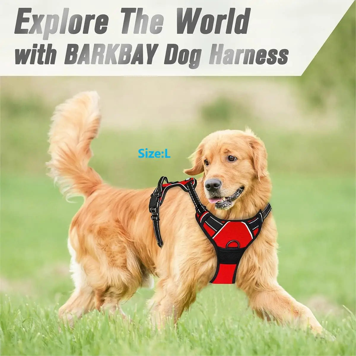 Harnais pour chien réglable anti-traction - Clip avant, poignée réfléchissante, chiens moyens à grands