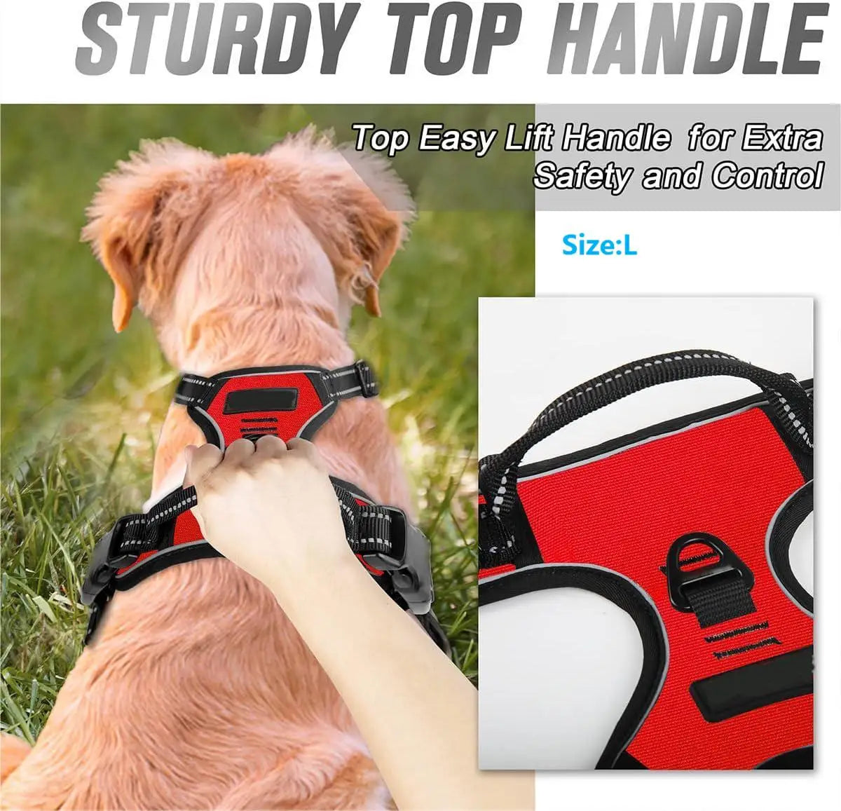 Harnais pour chien réglable anti-traction - Clip avant, poignée réfléchissante, chiens moyens à grands