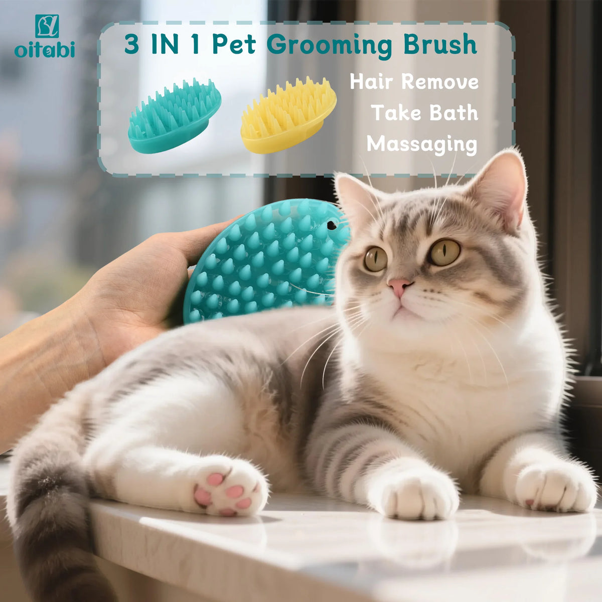 Brosse de toilettage Oitabi pour chat et chien - Massage, démêlage, poils courts