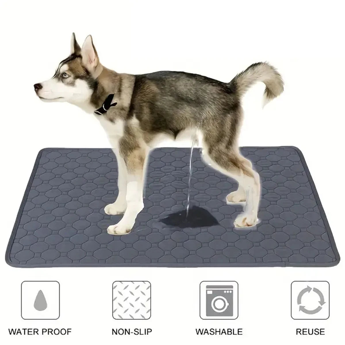 Tapis absorbant réutilisable et lavable pour chien - Imperméable, protection sol/voiture/canapé