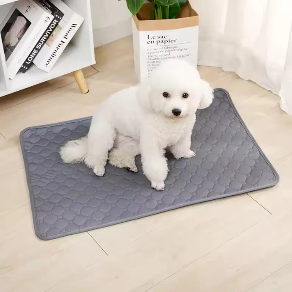 Tapis absorbant réutilisable et lavable pour chien - Imperméable, protection sol/voiture/canapé