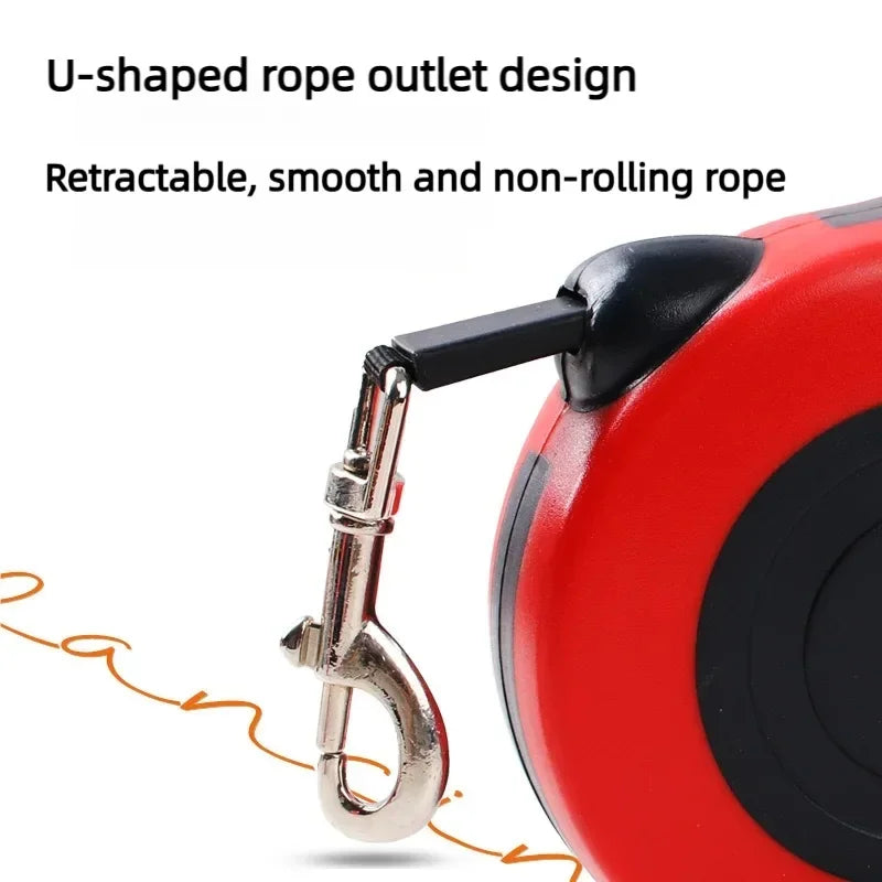 Laisse rétractable pour chien - Enrouleur automatique 3m/5m, nylon résistant