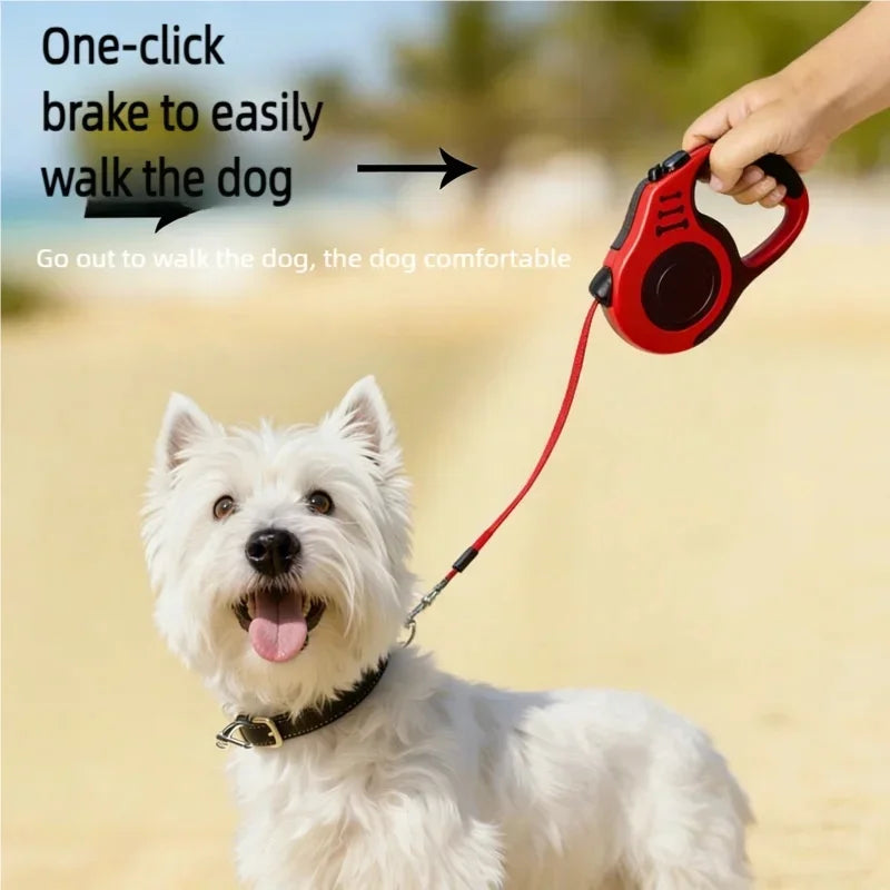 Laisse rétractable pour chien - Enrouleur automatique 3m/5m, nylon résistant