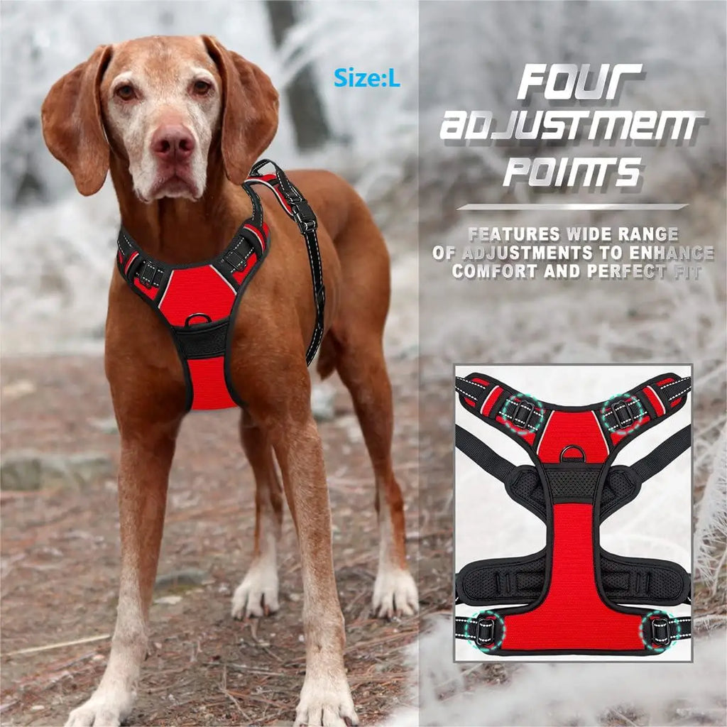 Harnais pour chien réglable anti-traction - Clip avant, poignée réfléchissante, chiens moyens à grands